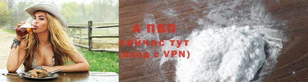 PSILOCYBIN Елабуга