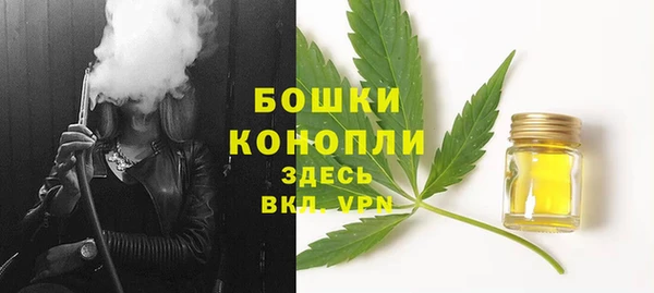 PSILOCYBIN Елабуга