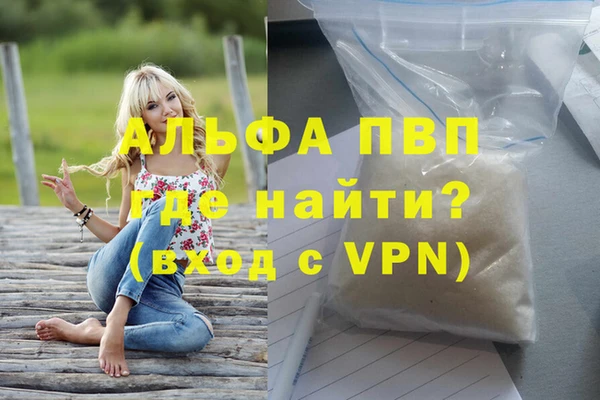 PSILOCYBIN Елабуга