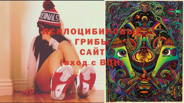 apvp Ельня