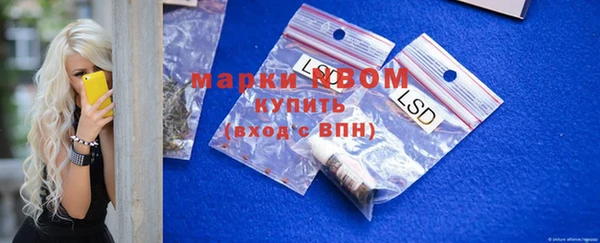 PSILOCYBIN Елабуга