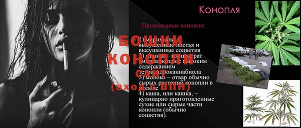 apvp Ельня