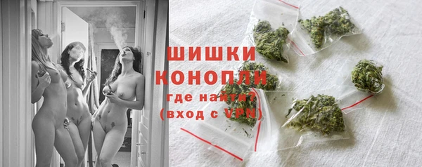 PSILOCYBIN Елабуга