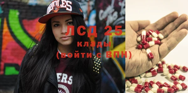 apvp Ельня
