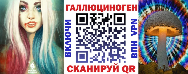 Псилоцибиновые грибы прущие грибы  Долгопрудный 